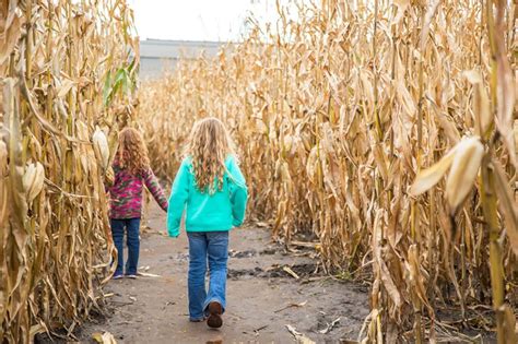 11 Corn Mazes to Explore Across the Country This Fall - Farm Flavor