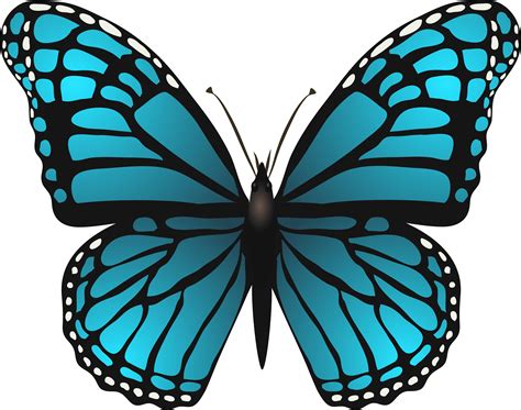 Blue Butterfly Transparent Background