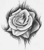 rose drawing Coloring pages rose pictures drawings of jpg - Cliparting.com