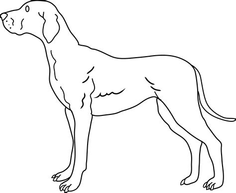 Dog Coloring Page - Free Clip Art