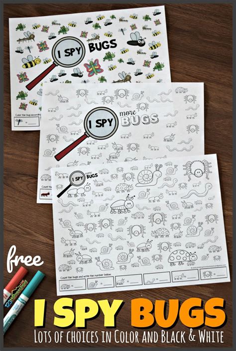 FREE I Spy Bugs | Insects preschool, Insect activities, Insects ...