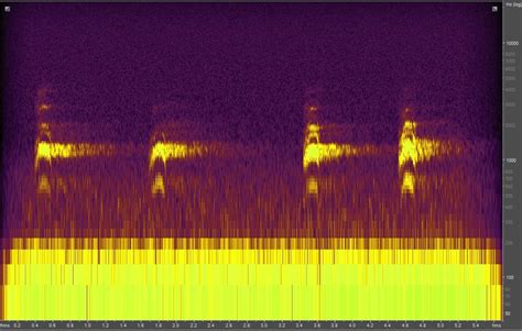 Sound Gallery - Common Raven - Natural Sounds (U.S. National Park Service)