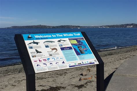 Alki Beach Park, Seattle – The Whale Trail