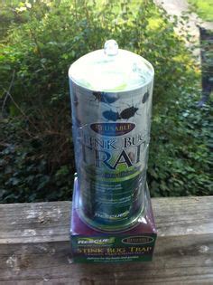 25 Best Stink Bug Trap - Outdoor Use ideas | stink bugs, stink bug trap ...