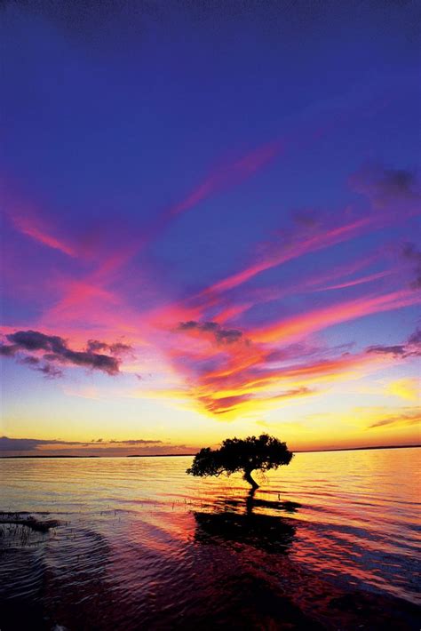 Fraser Island Portfolio - Australian Traveller