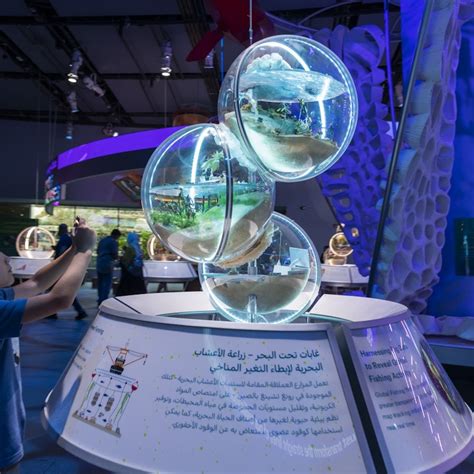 Dubai Expo City: Attractions Pass Tickets | Tiqets