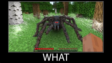 Minecraft Spider Meme