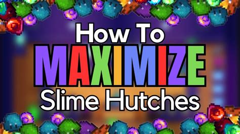 The Ultimate Slime Hutch Guide - YouTube