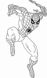 Free Printable Spiderman Coloring Pages For Kids sketch template