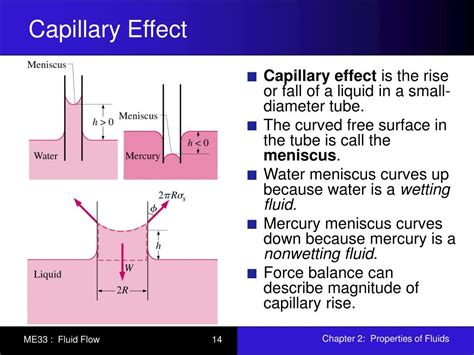 PPT - Chapter 2: Properties of Fluids PowerPoint Presentation, free download - ID:4498906