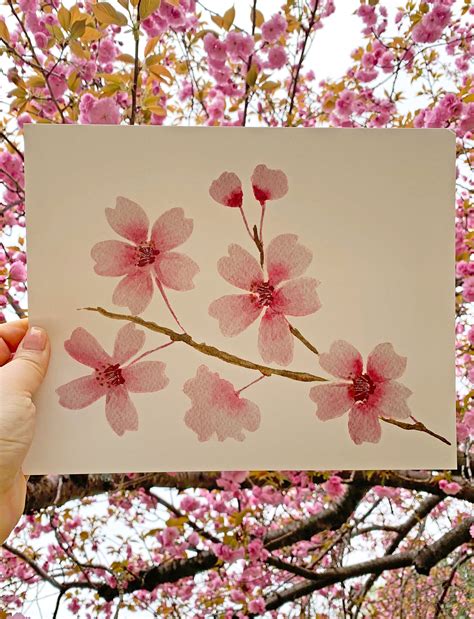 Watercolor Cherry Blossom Branch Art Print Spring Botanical - Etsy