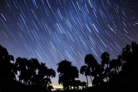 Photographing the Night Sky: Star Trails | Nikon