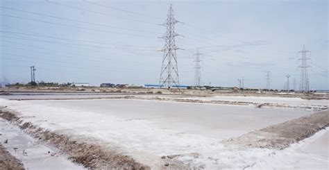 The Lives of the Salt Harvesters of Thoothukudi in a Warming World ...