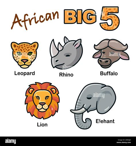 How To Draw The Big Five Animals : Draw Five How To Draw African Animals Youtube