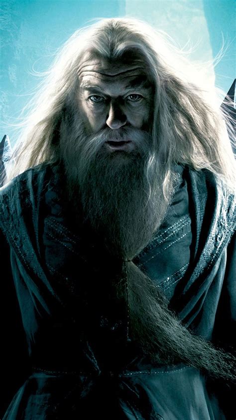 Dumbledore - Times Were Good Webcast Image Archive