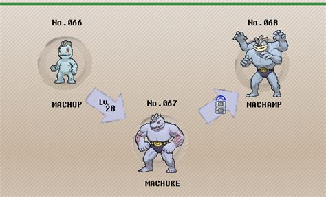 Machop Evolution Chart