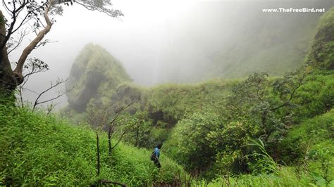 Kumbhe Waterfall Blog ️ The secret route to the beautiful waterfall