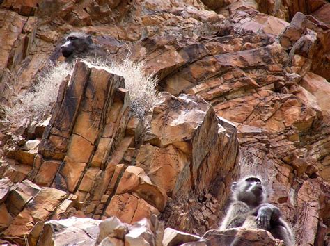 Hiking in the Namib Naukluft National Park of Namibia