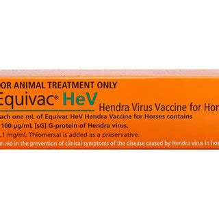 Hendra Virus Vaccine for Horses (BusinessQueensland, 2018) | Download ...