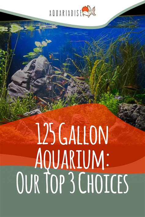 125 Gallon Aquarium: Our Top 3 Choices For The Money