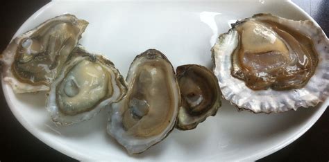 How many oyster varieties are there in the world? | Pangea Shellfish ...