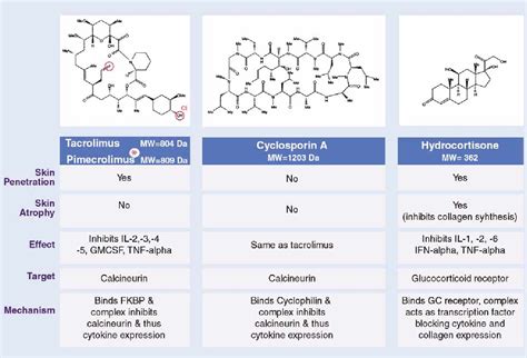 Pimecrolimus | Semantic Scholar