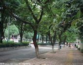 9 Guangzhou Street View map ideas | view map, street view, guangzhou