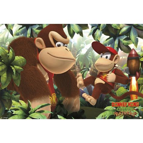 Donkey Kong Country Returns Donkey Kong Country Returns Platformer Game ...