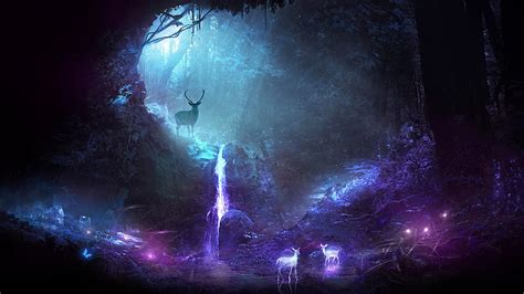 Enchanted Forest, Forest, Colorful, Enchanted Forrest, Fantasy, dark ...