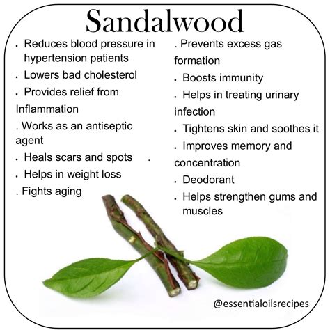 Benefits of Sandalwood Essential Oil. Follow us on Instagram ...