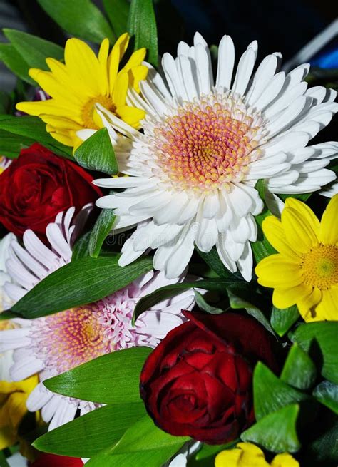 Bouquet Of Chrysanthemum Flowers Stock Photo - Image of closeup, gift: 21727112