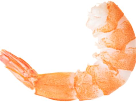 Download Shrimp Clipart Transparent Background - Portable Network Graphics - Png Download Png ...