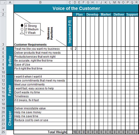 Voice of the Customer Matrix in Excel | VOC Template | QI Macros