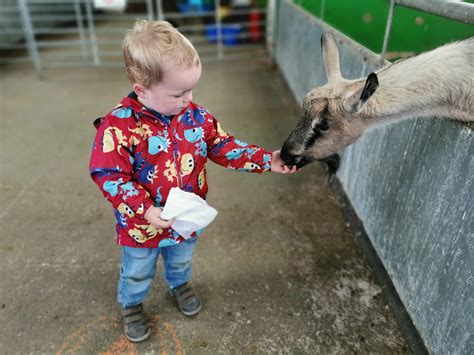 Hogshaw Farm & Wildlife Park