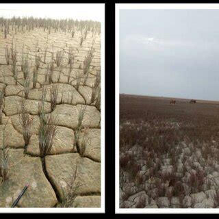 Landform formation of mud flats on the dry bed of Gomishan lagoon and... | Download Scientific ...