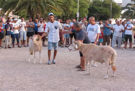 In pictures: Ram-fighting in Tunis suburbs continues despite calls for ...