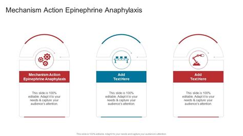 Mechanism Action Epinephrine Anaphylaxis In Powerpoint And Google Slides Cpb