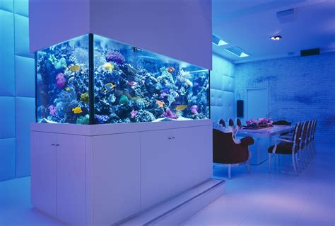 Luxury apartment with giant aquarium. | Akvaryum dekorasyonu, Akvaryum ...