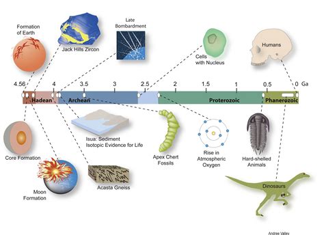 caption a timeline shows the geological context of jack hills zircons ancient minerals that ...