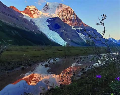 A Path to Recovery: The Berg Lake Trail Flood at Mount Robson — State ...