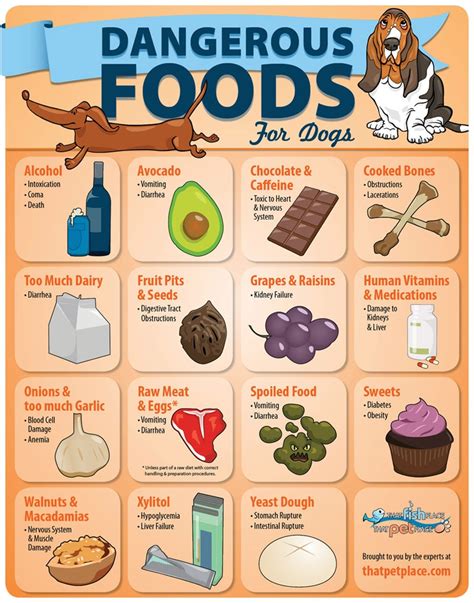 Dangerous Foods for Dogs (infographic) | thatpetplace.com