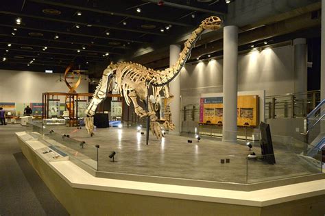 5 Best Science Museums That Must Make It to Your Travel Wish List