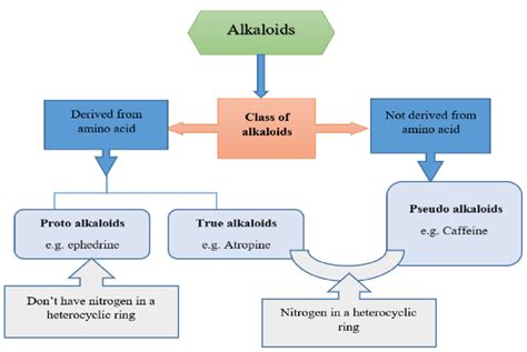 Classification of alkaloids based on chemical structures. | Download Scientific Diagram