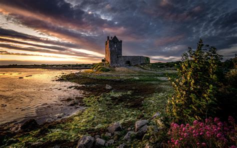 Download wallpapers Dunguaire Castle, Irish stone fortress, County ...