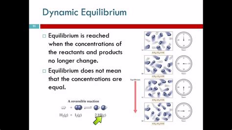 15.3 The Idea of Dynamic Chemical Equilibrium - YouTube