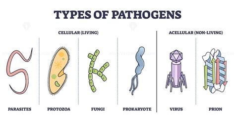 Types of pathogens, cellular, and non living virus organisms outline diagram in 2024 | Study ...