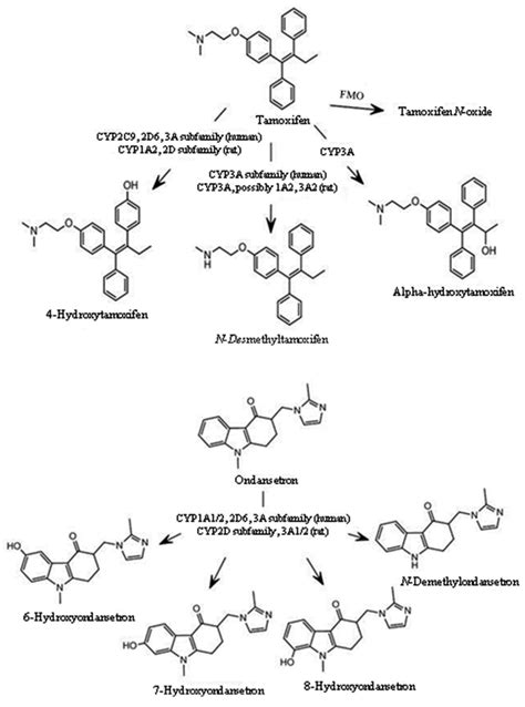 Pharmacokinetic Drug Interactions between Ondansetron and Tamoxifen in ...