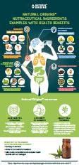 Infographic: nutraceutical ingredients with health benefits