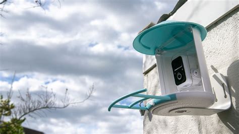 Netvue Birdfy Smart Bird Feeder Camera review: birdwatching from your armchair | Digital Camera ...