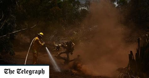 Climate change: Earth has experienced its hottest ever three-month ...